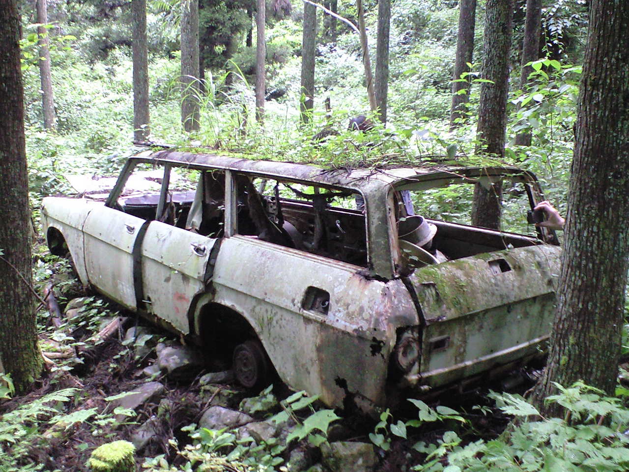 b0218883_1258324.jpg