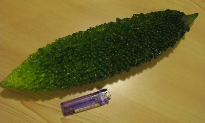 e0130185_2251673.jpg