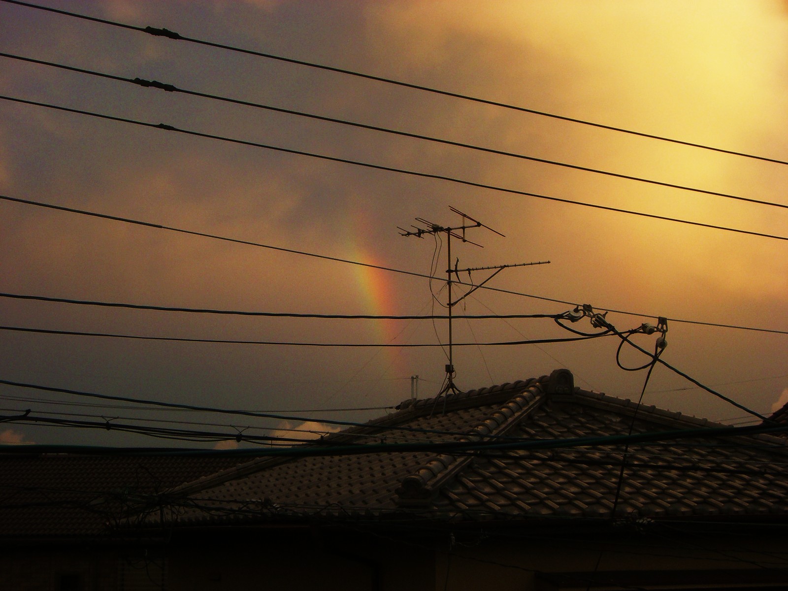 b0226386_2150362.jpg