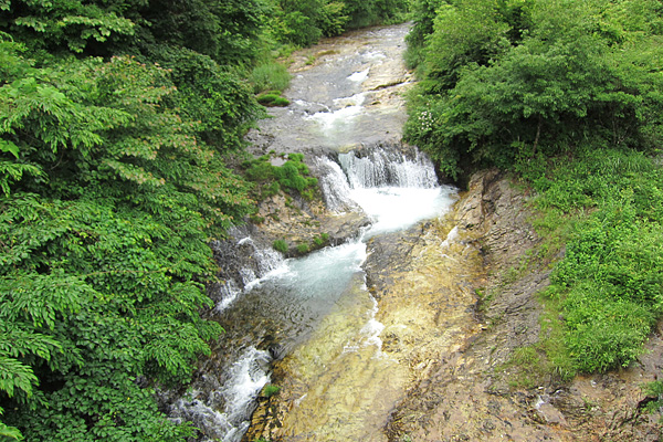 b0169489_1313451.jpg