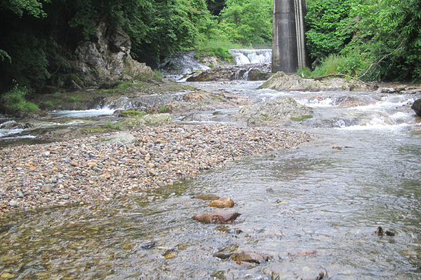 b0169489_13134513.jpg