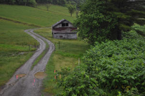 e0180796_53169.jpg