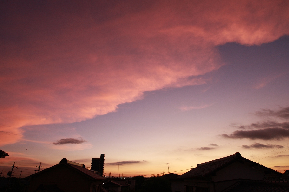 f0148697_1753589.jpg