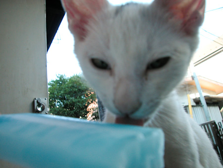 f0239100_2141770.jpg