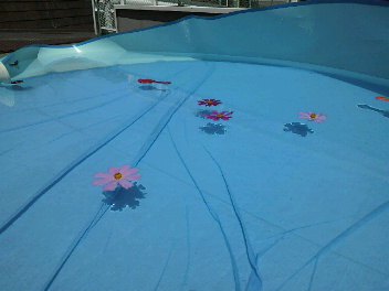 f0127408_2333157.jpg