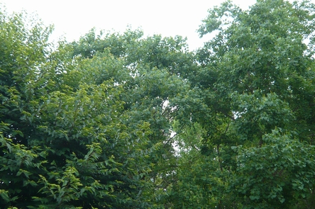 f0221708_13574910.jpg