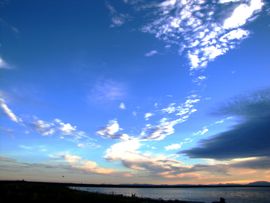 b0051109_4135291.jpg