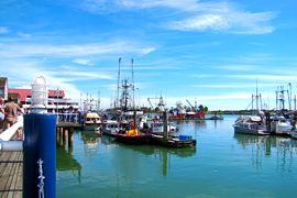 b0051109_414867.jpg