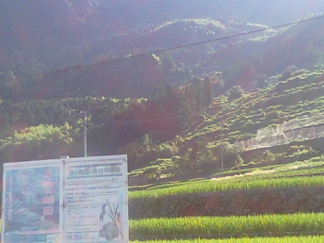 f0231709_1185418.jpg