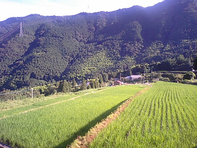 f0231709_1194518.jpg
