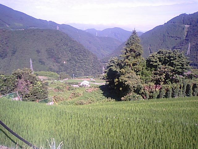 f0231709_1201249.jpg