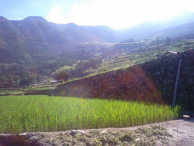 f0231709_121688.jpg