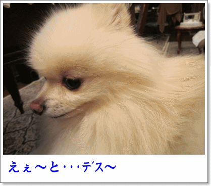 b0167519_2147178.gif