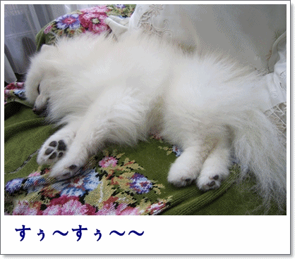 b0167519_2147397.gif