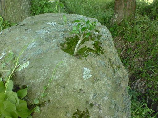 c0097620_22173251.jpg