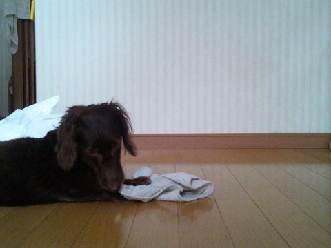 c0150520_22305247.jpg
