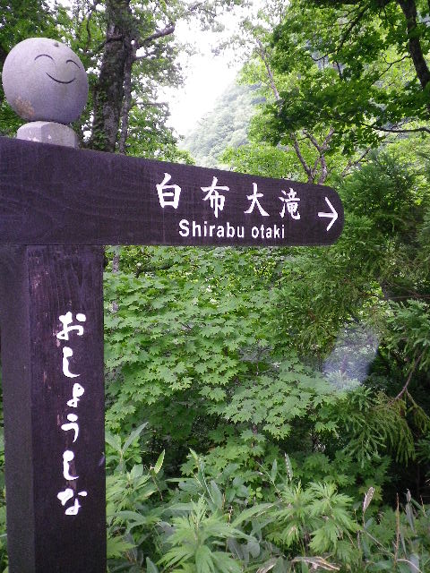 d0193224_21253275.jpg