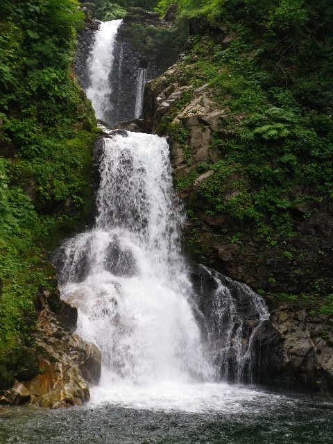 d0193224_213164.jpg