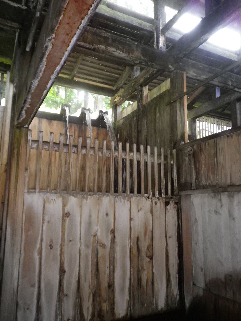 d0193224_2174578.jpg