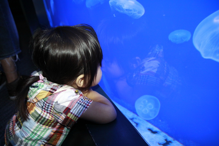 d0200926_5525279.jpg