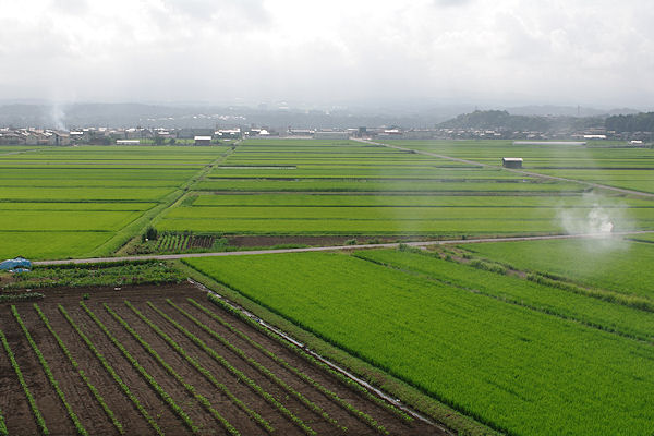 f0007926_1104170.jpg