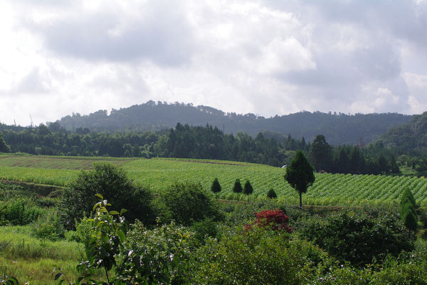 f0007926_11164151.jpg