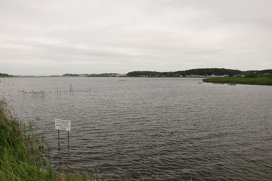 f0225627_2215821.jpg
