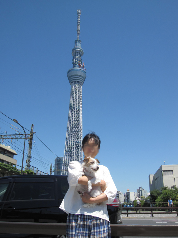 b0188228_131259.jpg