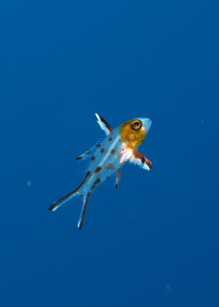 c0034029_6311899.jpg