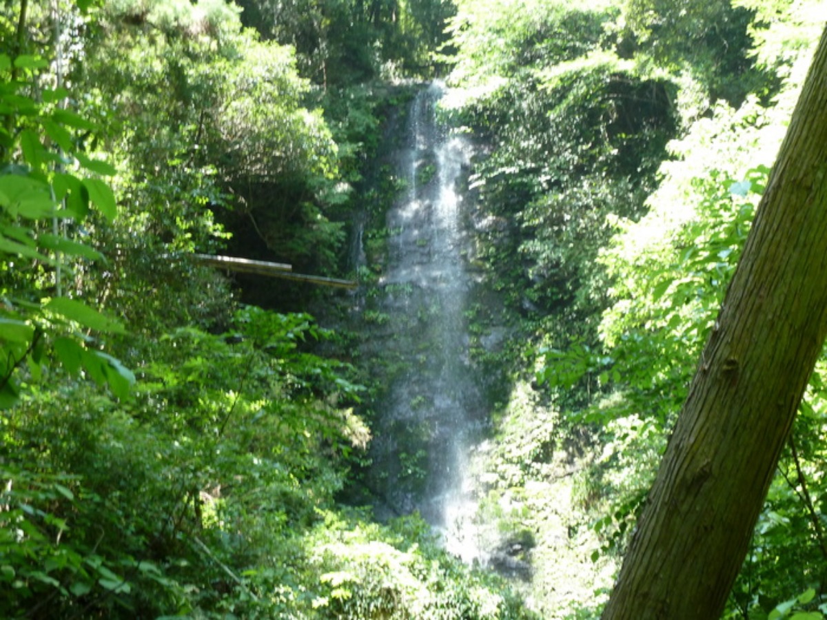 e0033229_21352759.jpg