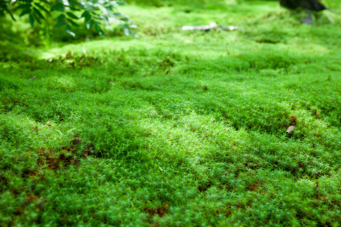 d0139939_1864546.jpg