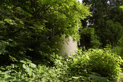 c0002943_1738555.jpg