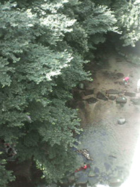 e0189044_1972274.jpg