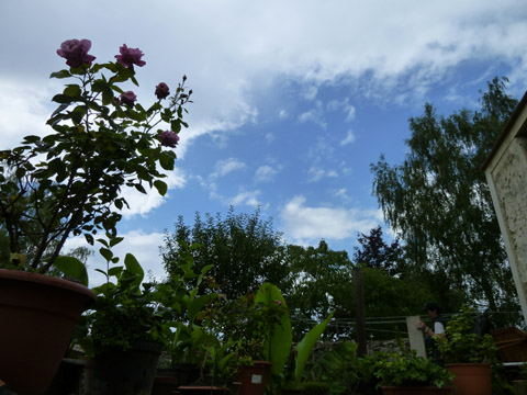 b0069848_5293510.jpg