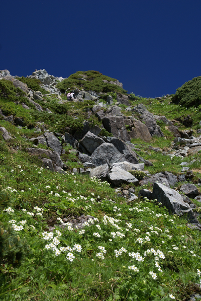 f0214649_7521016.jpg