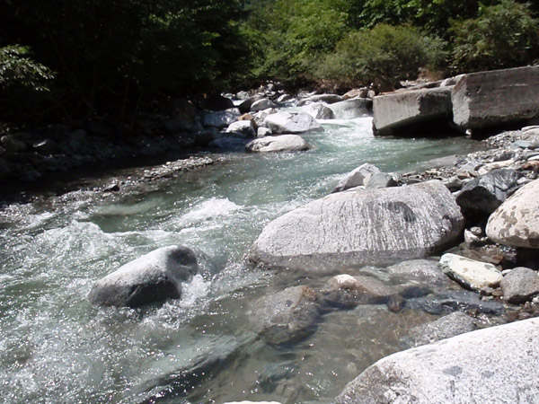 c0110361_161554100.jpg
