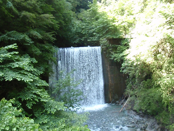 c0110361_16202857.jpg