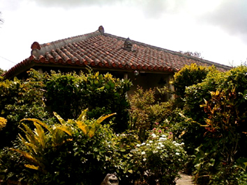 b0153663_17451811.jpg
