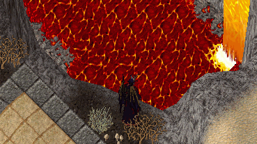 b0190672_1392417.gif
