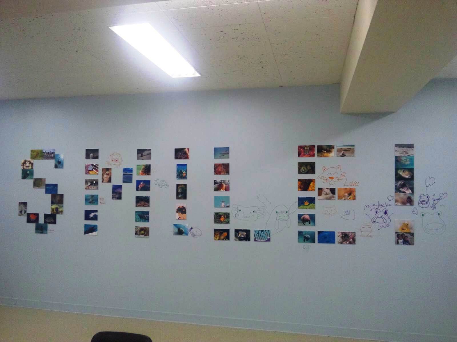 c0181073_21134669.jpg