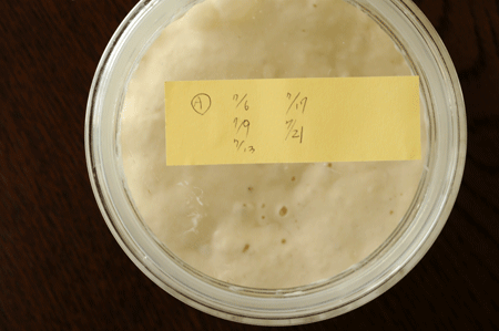 c0196673_9542966.gif