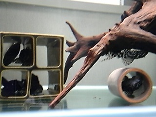 e0175276_16571619.jpg