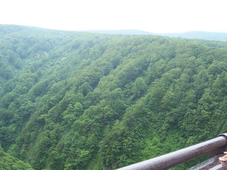 c0198781_1145218.jpg