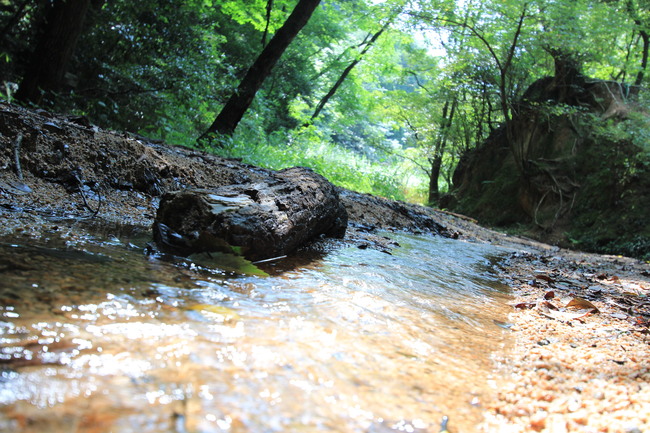 e0024081_16503317.jpg
