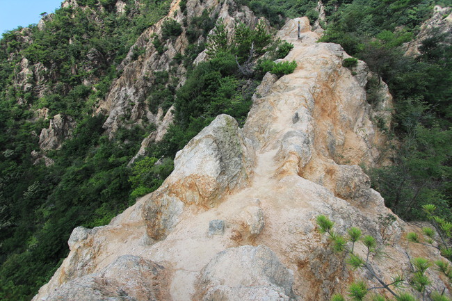 e0024081_16511820.jpg