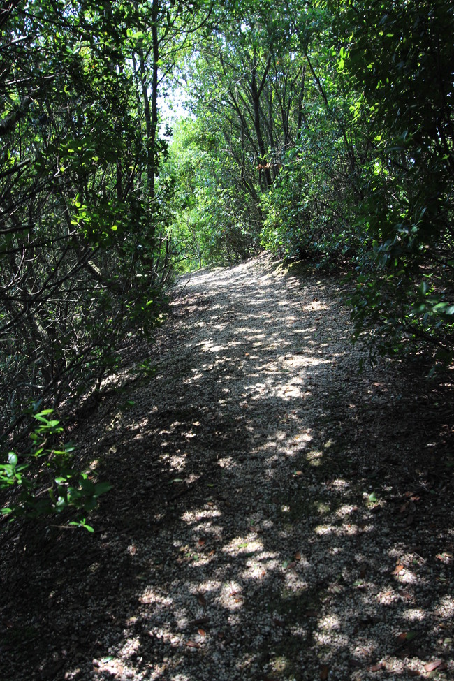e0024081_16523763.jpg