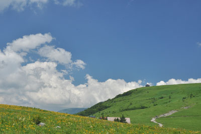b0061588_0362630.jpg