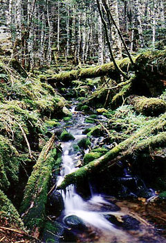 c0166293_9451381.jpg
