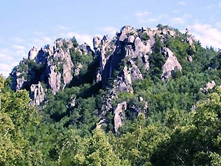 c0166293_9475349.jpg