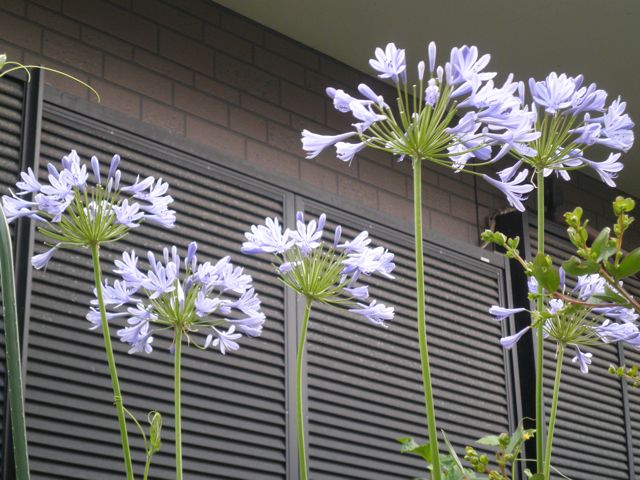 f0130894_2152234.jpg